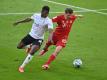 Die Spiele von Gladbach und Bayern laufen im Free-TV