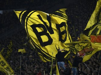 Der BVB verpflichtet Top-Talent Abdoulaye Kamara Der BVB verpflichtet Top-Talent Abdoulaye Kamara