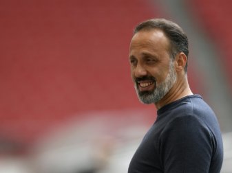 Pellegrino Matarazzo hat beim VfB eine Jobgarantie Pellegrino Matarazzo hat beim VfB eine Jobgarantie