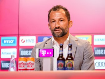 Hasan Salihamidzic kritisiert Hassattacken gegen Zirkzee Hasan Salihamidzic kritisiert Hassattacken gegen Zirkzee