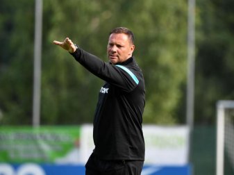 Hertha-Trainer Pal Dardai gibt auf dem Platz Anweisungen. Foto: Matthias Koch/dpa Hertha-Trainer Pal Dardai gibt auf dem Platz Anweisungen. Foto: Matthias Koch/dpa