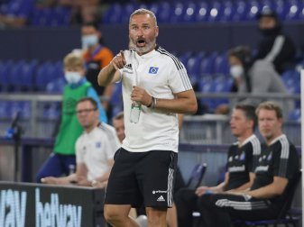 Hamburgs Trainer Tim Walter ärgert sich