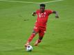 Davies wieder im Mannschaftstraining der Bayern dabei