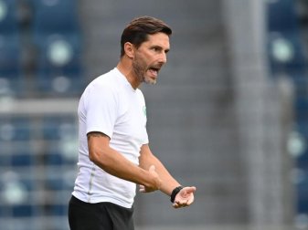 Hat in seinem ersten Jahr als Bundesliga-Coach nur ein Ziel mit der SpVgg Greuther Fürth: Stefan Leitl. Foto: Soeren Stache/dpa-Zentralbild/dpa Hat in seinem ersten Jahr als Bundesliga-Coach nur ein Ziel mit der SpVgg Greuther Fürth: Stefan Leitl. Foto: Soeren Stache/dpa-Zentralbild/dpa