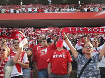 Der 1. FC Köln will mehr Zuschauer im Stadion Der 1. FC Köln will mehr Zuschauer im Stadion
