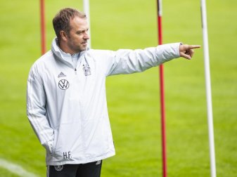Gibt gegen Fußballzwerg Liechtenstein sein Debüt als Bundestrainer: Hansi Flick. Foto: Tom Weller/dpa Gibt gegen Fußballzwerg Liechtenstein sein Debüt als Bundestrainer: Hansi Flick. Foto: Tom Weller/dpa