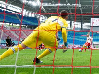 Torhüter-Trio des VfB Stuttgart komplettiert Torhüter-Trio des VfB Stuttgart komplettiert