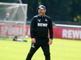 Baumgart Baumgart