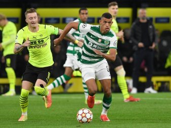 Wieder mit sichtbarem Wappen auf dem Trikot: BVB-Kapitän Marco Reus (l). Foto: Bernd Thissen/dpa Wieder mit sichtbarem Wappen auf dem Trikot: BVB-Kapitän Marco Reus (l). Foto: Bernd Thissen/dpa