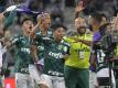 Palmeiras São Paulo hat erneut das Finale der Copa Libertadores erreicht. Foto: Washington Alves/Pool Reuters/AP/dpa