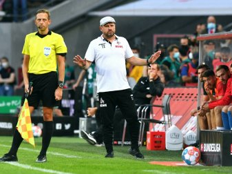 Steffen Baumgart warnt vor Aufsteiger Fürth Steffen Baumgart warnt vor Aufsteiger Fürth