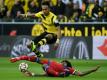 BVB-Boss Watzke sieht Interesse an Aubameyang gelassen (Quelle: SID-IMAGES/AFP)