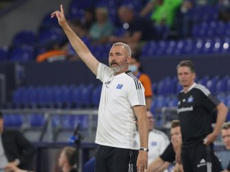 Tim Walter freut sich auf Kulisse im Volksparkstadion Tim Walter freut sich auf Kulisse im Volksparkstadion