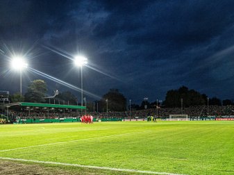 Personelle Änderungen bei Waldhof Mannheim Personelle Änderungen bei Waldhof Mannheim