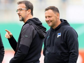Fredi Bobic spricht über Hertha-Trainer Dardai Fredi Bobic spricht über Hertha-Trainer Dardai