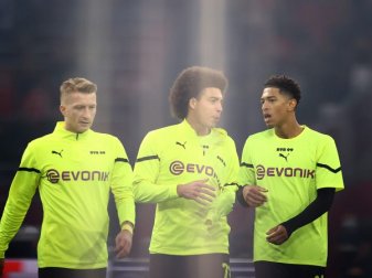 Interesse besteht seit langem: Juventus will Witsel im Sommer Interesse besteht seit langem: Juventus will Witsel im Sommer