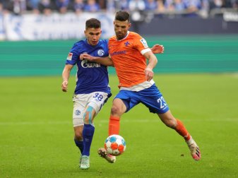 Darmstadt triumphiert gegen Schalke Darmstadt triumphiert gegen Schalke