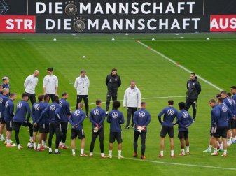 Die Nationalmannschaft trifft in der letzten Länderspielpause des Jahres auf Liechtenstein und Armenien. Foto: Marcus Brandt/dpa