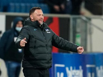 Will nach dem Unentschieden nach vorne schauen: Herthas Trainer Pal Dardai. Foto: Uwe Anspach/dpa/Archivbild Will nach dem Unentschieden nach vorne schauen: Herthas Trainer Pal Dardai. Foto: Uwe Anspach/dpa/Archivbild