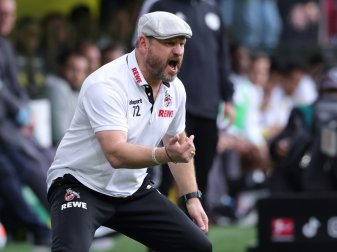 Steffen Baumgart und Köln testen gegen Paderborn Steffen Baumgart und Köln testen gegen Paderborn