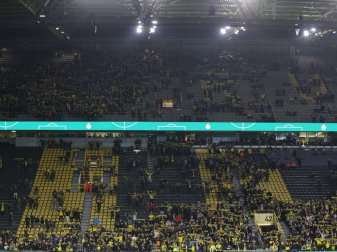 Fans haben weniger Interesse an einem Stadionbesuch Fans haben weniger Interesse an einem Stadionbesuch