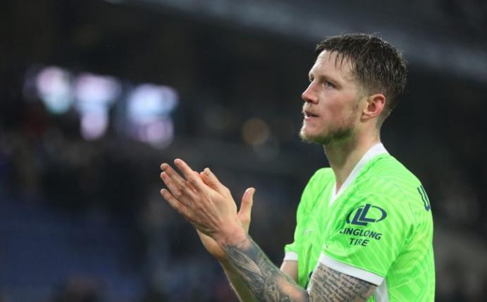 Weghorst Wout VfL Wolfsburg Bundesliga Wölfe Edin Dzeko Grafite Diego Klimowicz