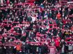 Beim Spiel des 1. FC Köln gegen Borussia Mönchengladbach waren 50.000 Zuschauer im Stadion. Foto: Marius Becker/dpa
