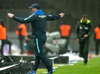 Pal Dardai (l) ärgert sich über die Schalker. Foto: Annegret Hilse Pal Dardai (l) ärgert sich über die Schalker. Foto: Annegret Hilse