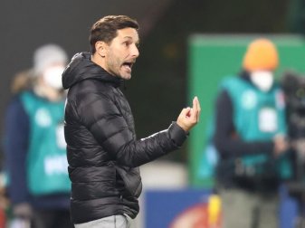 Will mit Aufsteiger Fürth endlich den ersten Liga-Sieg: Trainer Stefan Leitl. Foto: Daniel Karmann/dpa Will mit Aufsteiger Fürth endlich den ersten Liga-Sieg: Trainer Stefan Leitl. Foto: Daniel Karmann/dpa