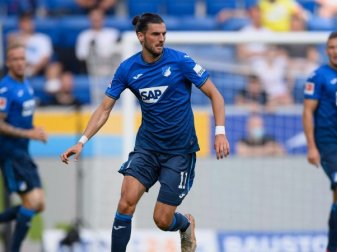 TSG Hoffenheim: Grillitsch vor Winter-Wechsel? TSG Hoffenheim: Grillitsch vor Winter-Wechsel?