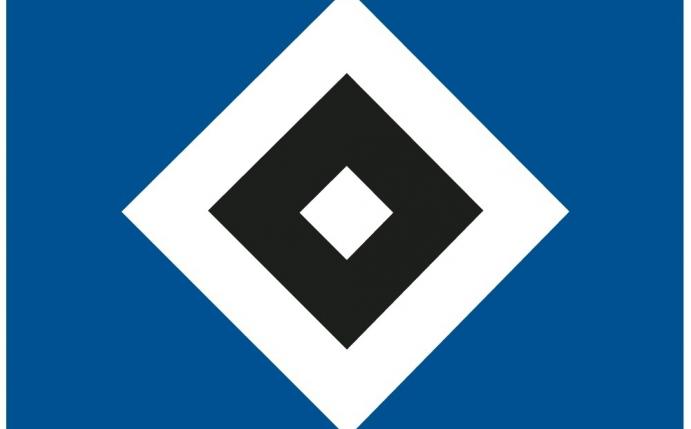 Neuer HSV-Vorstand arbeitet pro bono