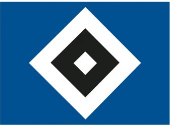 Neuer HSV-Vorstand arbeitet pro bono Neuer HSV-Vorstand arbeitet pro bono
