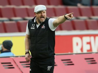 Baumgart hat mit Köln das Viertelfinale im Visier