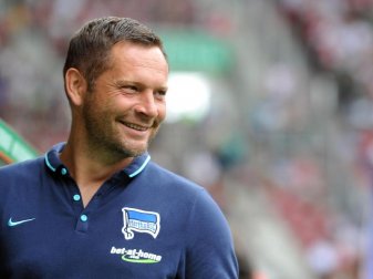 Pal Dardai übernahm die Hertha nach der Entlassung von Jos Luhukay. Foto: Stefan Puchner(Stefan Puchner) Pal Dardai übernahm die Hertha nach der Entlassung von Jos Luhukay. Foto: Stefan Puchner(Stefan Puchner)