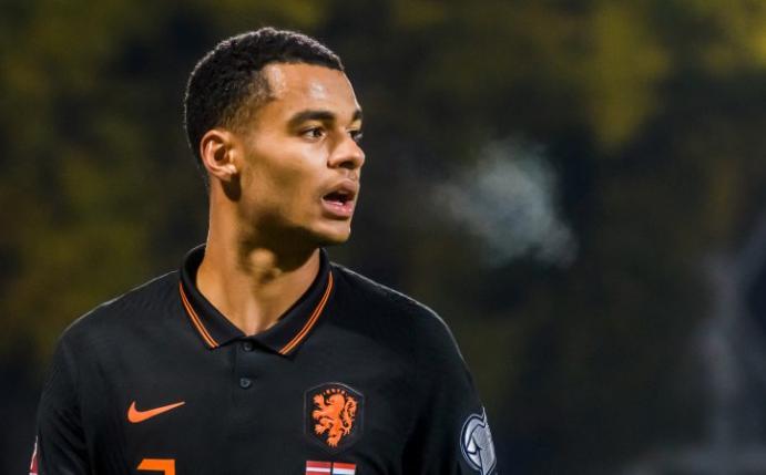 Neben England-Klubs: Bayern will PSV-Star Gakpo im Sommer