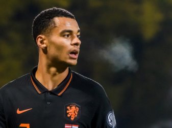 Neben England-Klubs: Bayern will PSV-Star Gakpo im Sommer Neben England-Klubs: Bayern will PSV-Star Gakpo im Sommer