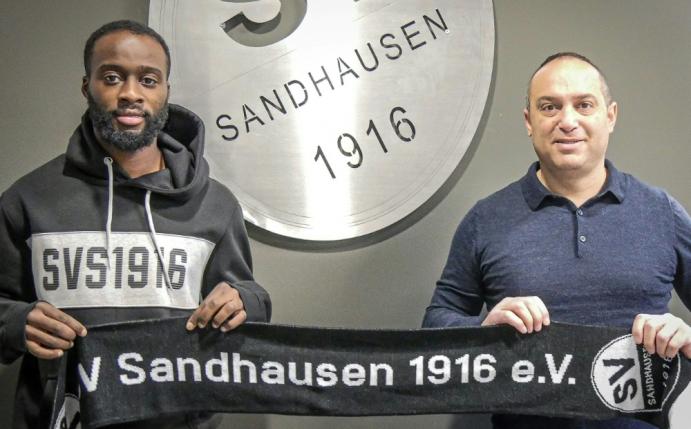 SV Sandhausen verpflichtet Erich Berko