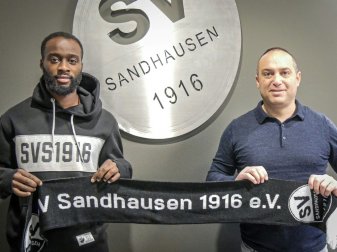 SV Sandhausen verpflichtet Erich Berko SV Sandhausen verpflichtet Erich Berko