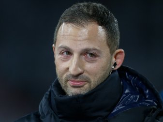 Tedesco vor Spiel gegen Köln Tedesco vor Spiel gegen Köln