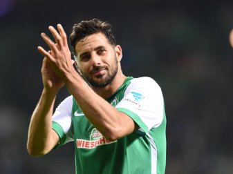 Claudio Pizarro will sich mit Werder Bremen im Pokal-Halbfinale gegen Bayern München durchsetzen. Foto: Carmen Jaspersen Claudio Pizarro will sich mit Werder Bremen im Pokal-Halbfinale gegen Bayern München durchsetzen. Foto: Carmen Jaspersen