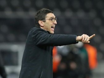 Jobgarantie bis Saisonende für Tayfun Korkut Jobgarantie bis Saisonende für Tayfun Korkut