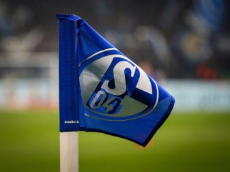 Schalke hat offenbar einen neuen Hauptsponsor gefunden Schalke hat offenbar einen neuen Hauptsponsor gefunden