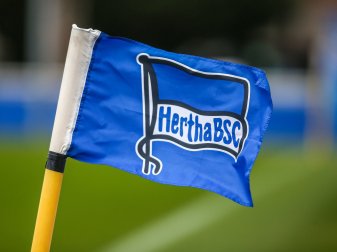 Medienberichten zufolge ist BVB-Chefscout Markus Pilawa Kandidat auf den Posten des Sportdirektors bei Hertha BSC. Medienberichten zufolge ist BVB-Chefscout Markus Pilawa Kandidat auf den Posten des Sportdirektors bei Hertha BSC.