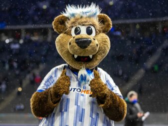 Hertha-Maskottchen Herthinho. Hertha-Maskottchen Herthinho.