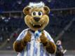 Hertha-Maskottchen Herthinho.