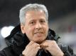 Lucien Favre macht sich fit für eine neue Herausforderung. Foto: Peter Steffen(Peter Steffen)
