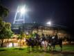 Die berittene Polizei steht mit ihren Pferden vor dem Weserstadion.