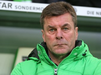 "Wölfe" drohen zwölf Ausfälle gegen Bayern (Quelle: PIXATHLON/SID-IMAGES) "Wölfe" drohen zwölf Ausfälle gegen Bayern (Quelle: PIXATHLON/SID-IMAGES)