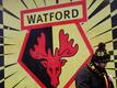 Watford verpflichtet Rovers-Teammanager Edwards