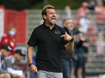 RNZ: Weinzierl soll Hoffenheim-Trainer werden RNZ: Weinzierl soll Hoffenheim-Trainer werden